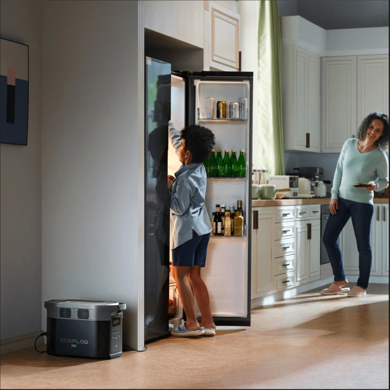 Зарядная станция EcoFlow DELTA 2 Max (EFDELTA2Max-EU)