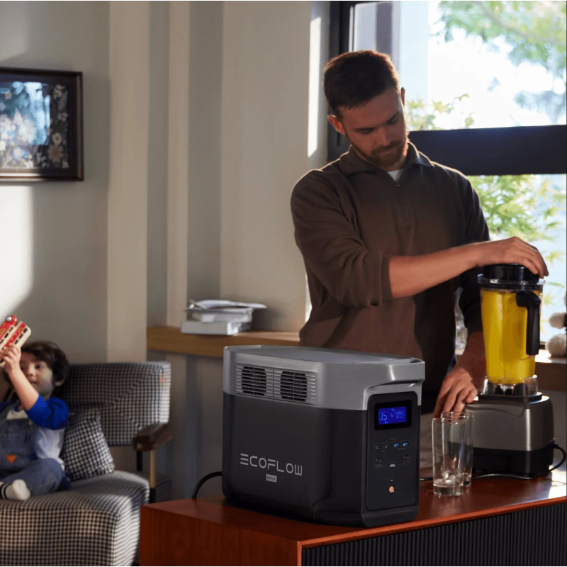 Зарядная станция EcoFlow DELTA 2 Max (EFDELTA2Max-EU)