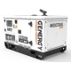 Генератор дизельный GENERGY GDS10M
